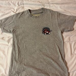 Gray Raptors T-Shirt